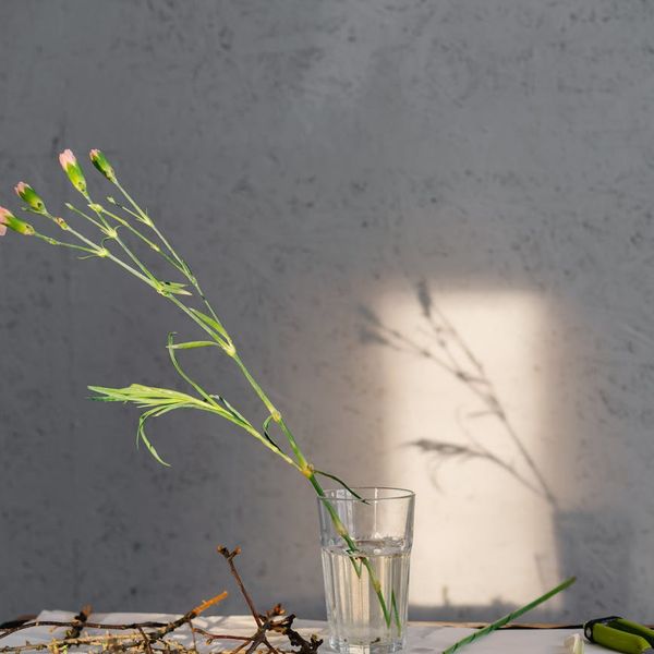 Person meditating in a serene natural setting at sunrise, showing peace of mind.